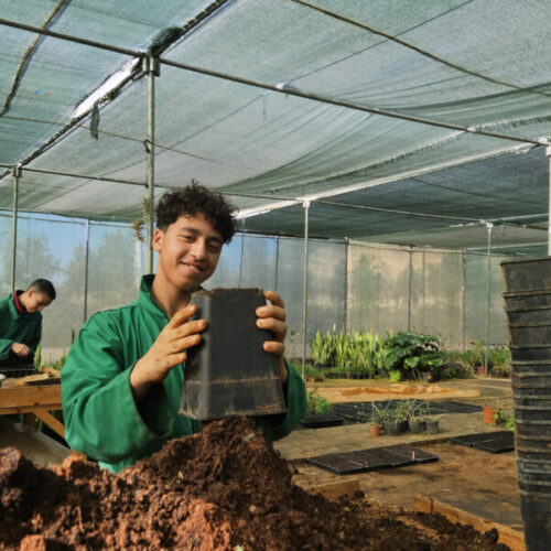 Nouveaux défis pour l’école de jardinage Med-O-Med