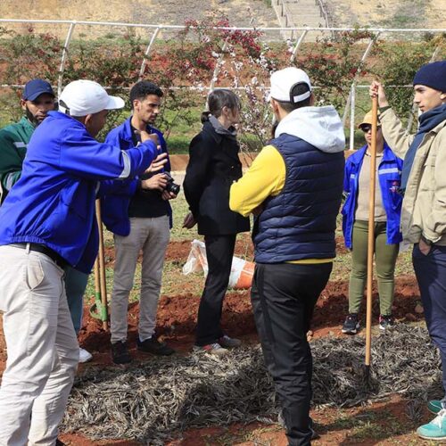 Le jardinage : un levier d’insertion et de résilience pour la jeunesse