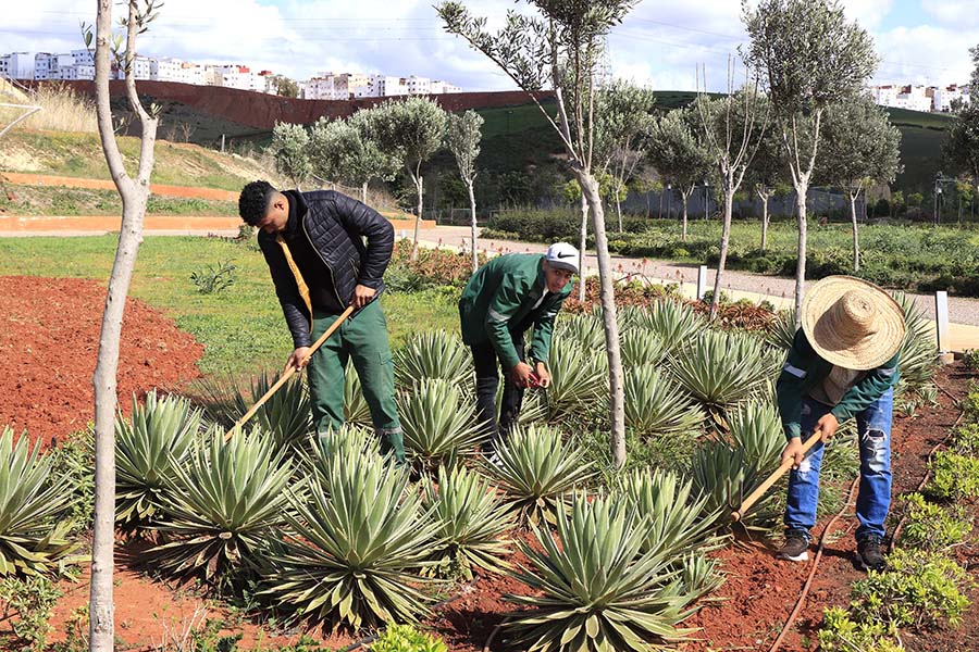 Une école de jardinage forme des jeunes en situation précaire