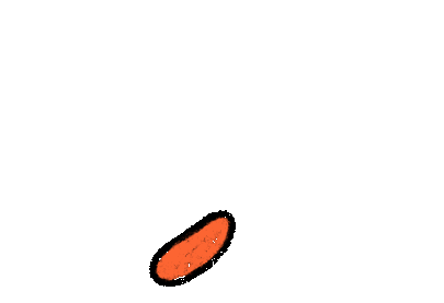 loader image