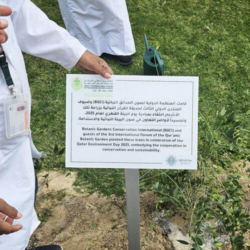 Med-O-Med participe à un forum international sur la botanique au Qatar