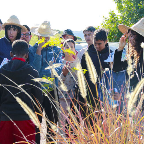 Une école comme dispositif d’éducation durable