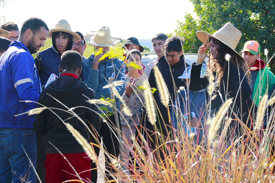 Une école comme dispositif d’éducation durable
