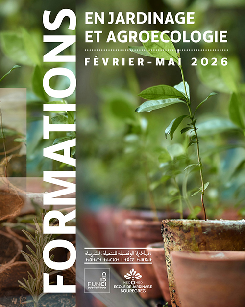 Formations pour adultes amateurs et professionnels