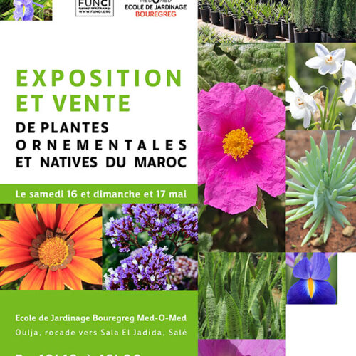 Un week-end verdoyant et artisanal