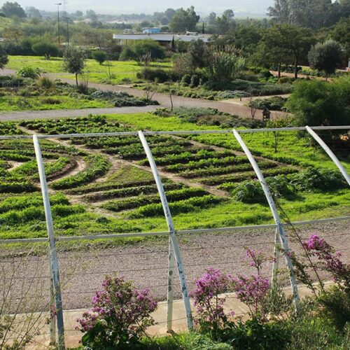 Une année pas comme les autres, à l’école de jardinage