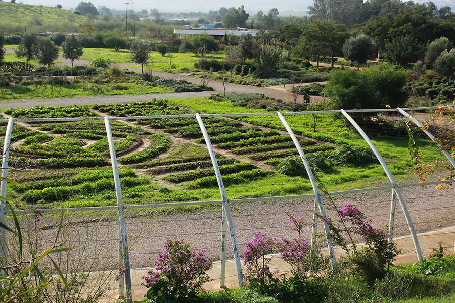 Une année pas comme les autres, à l’école de jardinage
