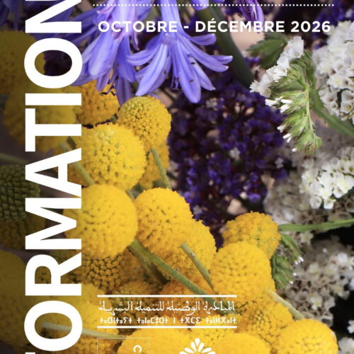 Formations pour le public