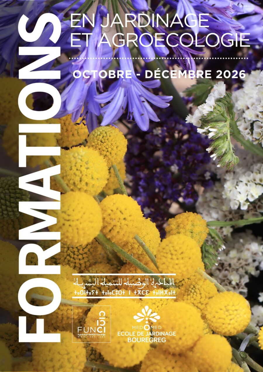 Formations pour le public