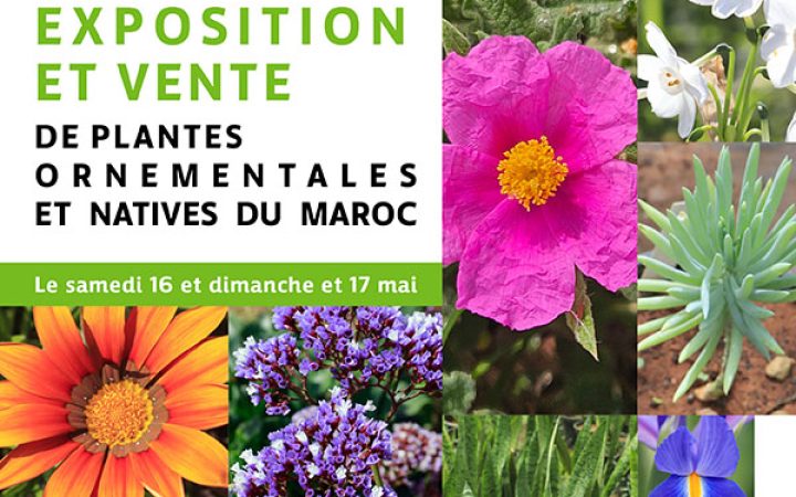 exposition_vente_plantes